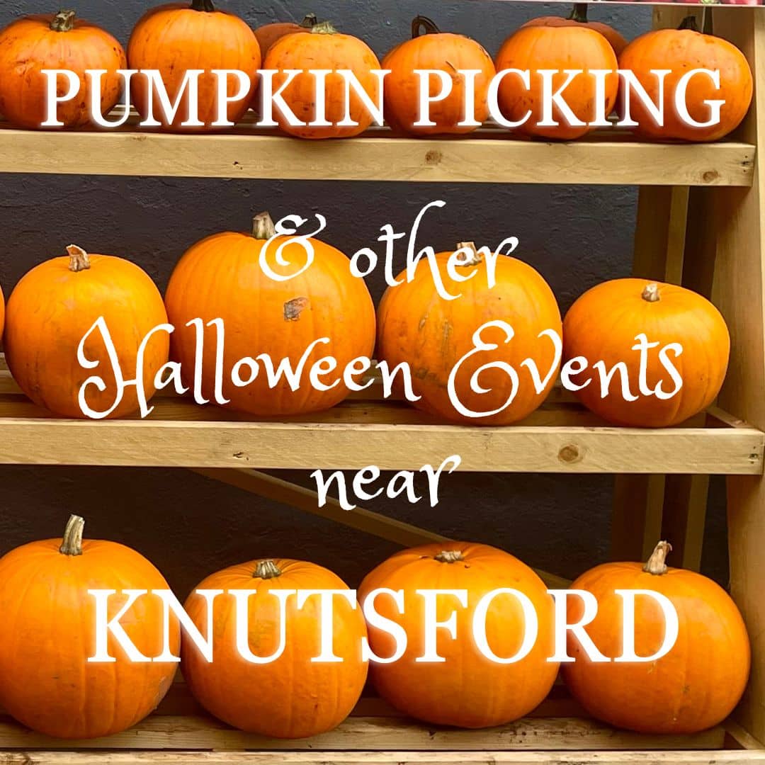 Pumpkin Picking near Knutsford cover
