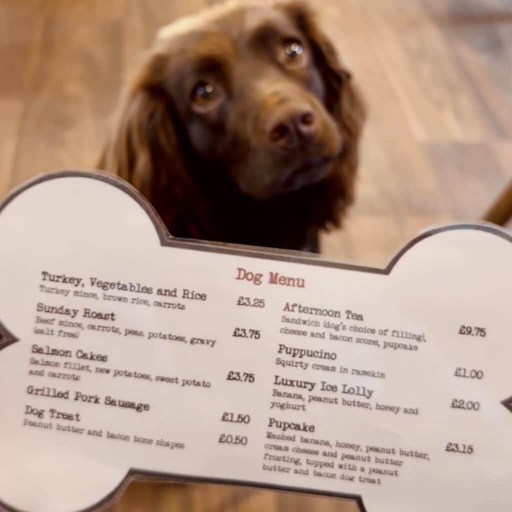 Knutsford Tea Room Dog Menu