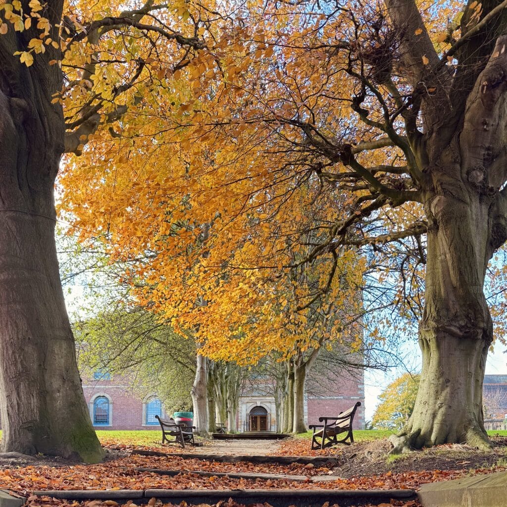 Knutsford Autumn St John's 2025 square